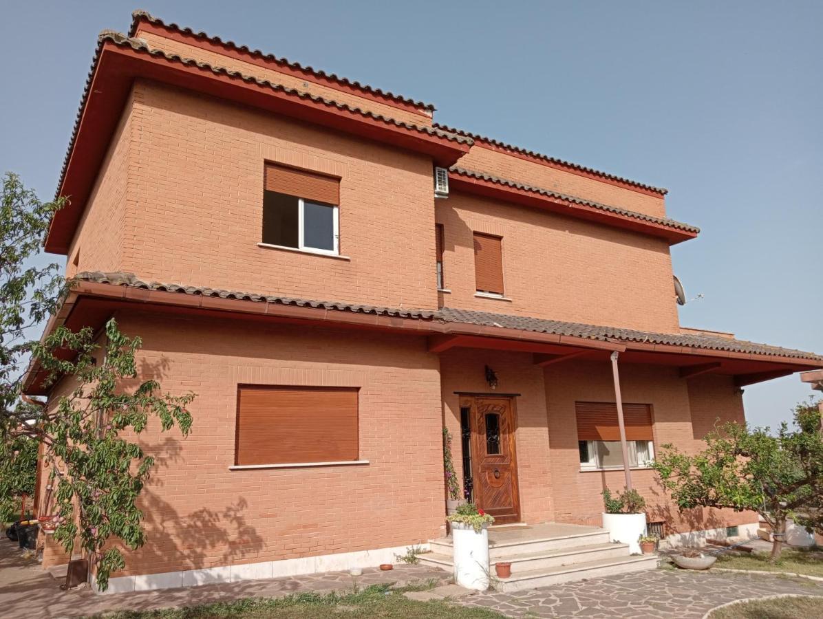 Da Piero E Gina Otel Palidoro Dış mekan fotoğraf
