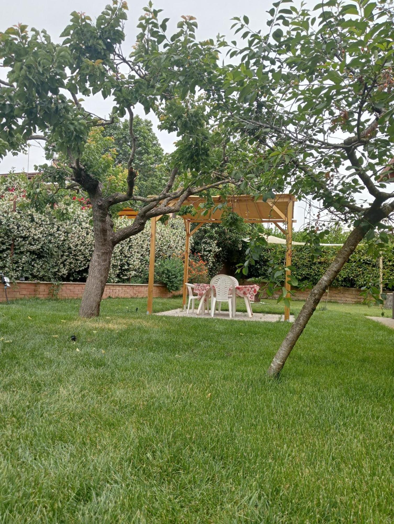 Da Piero E Gina Otel Palidoro Oda fotoğraf